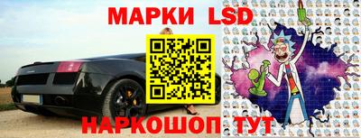 стаф Сланцы
