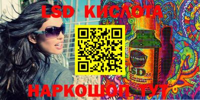стаф Сланцы