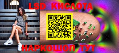 стаф Сланцы