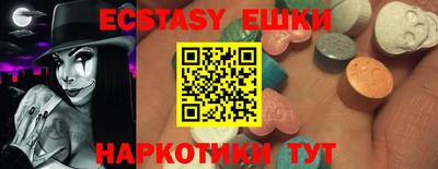 стаф Сланцы