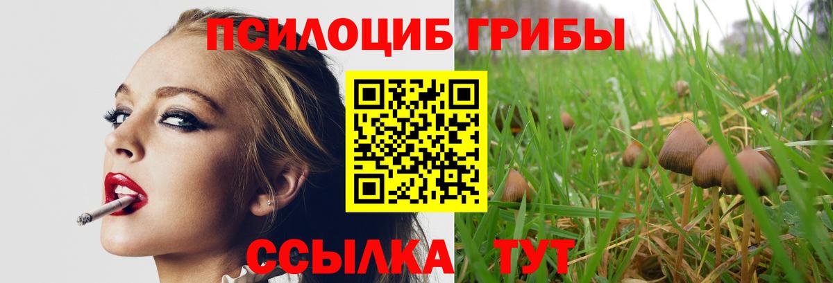 Псилоцибиновые грибы прущие грибы Батайск
